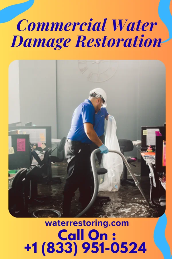 Commercial Water Damage Restoration in Edwardsville, KS
